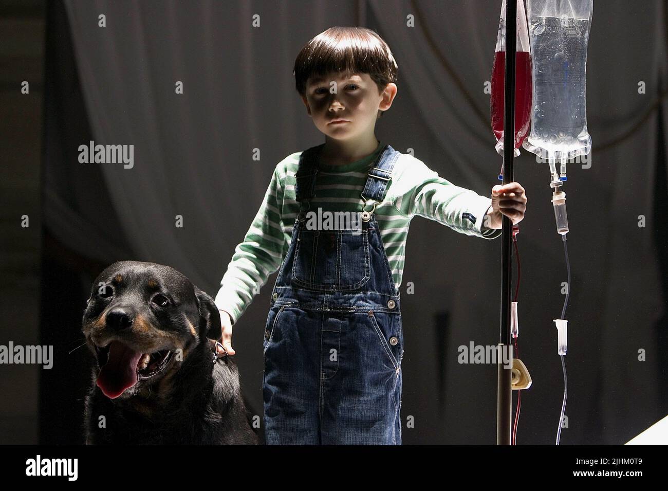 SEAMUS DAVEY-FITZPATRICK, cane, il presagio, 2006 Foto Stock