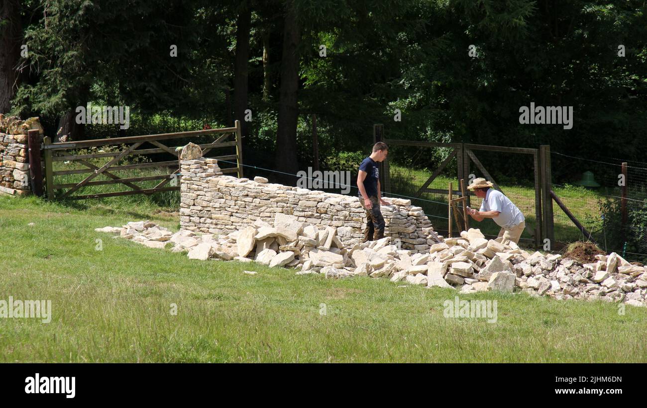Muro di pietra a secco in fase di ricostruzione nelle Cotswolds Foto Stock