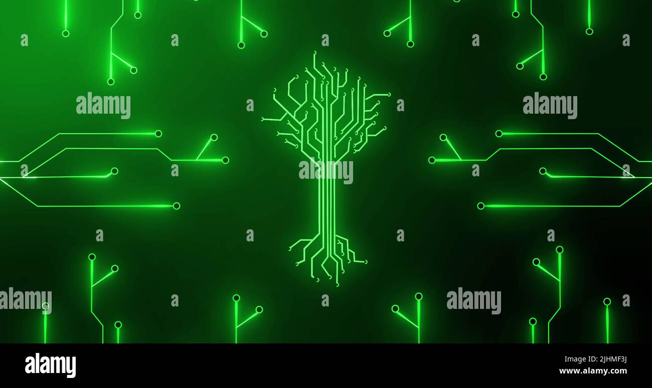 Immagine del circuito integrato e dell'albero digitale su sfondo verde Foto Stock