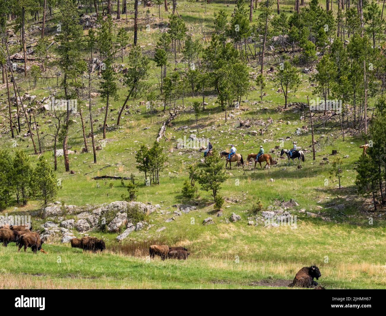 Passeggiate a cavallo nel Wind Cave National Park nel South Dakota USA Foto Stock