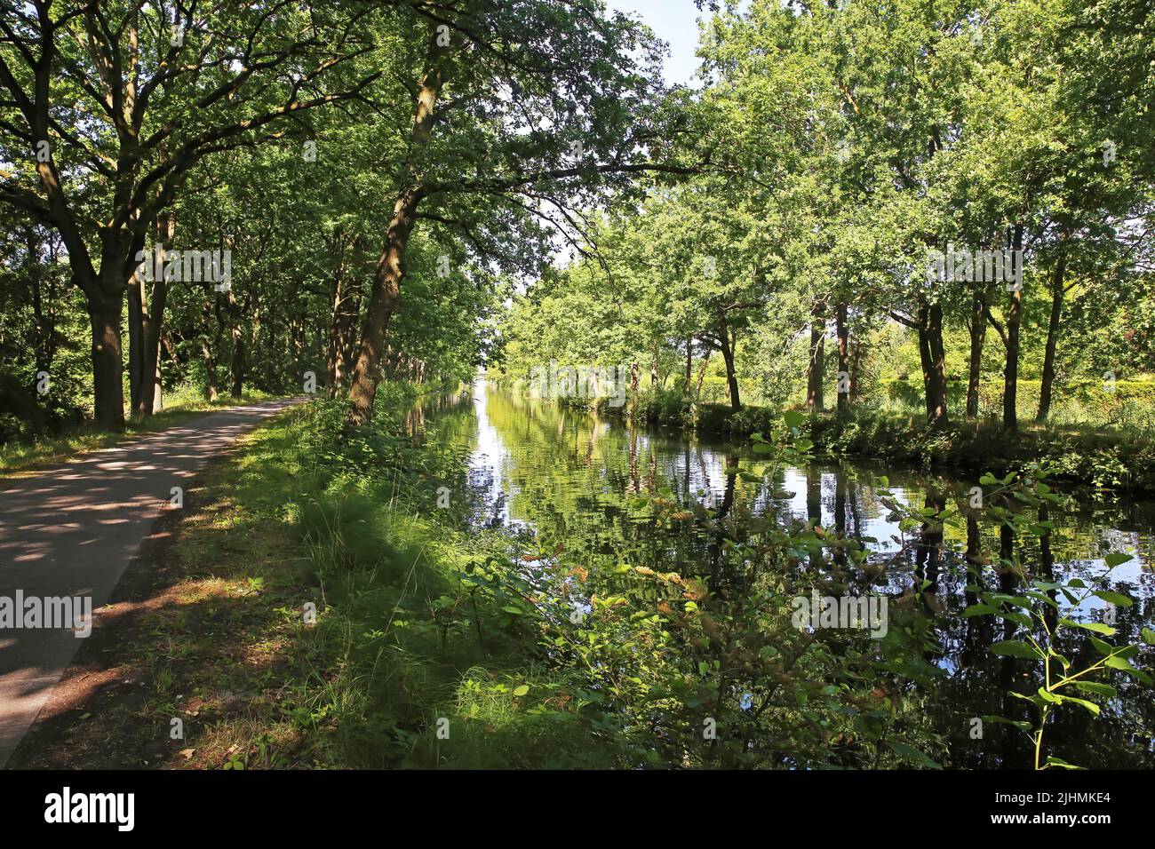 Bellissimo idilliaco percorso ciclabile panoramico lungo il canale d'acqua olandese, foresta verde, paesaggio rurale - Eindhoven Kanaal, Paesi Bassi Foto Stock