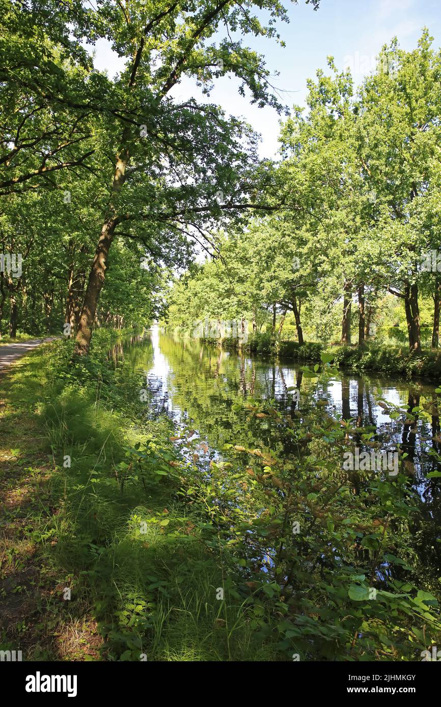 Bellissimo idilliaco percorso ciclabile panoramico lungo il canale d'acqua olandese, foresta verde, paesaggio rurale - Eindhoven Kanaal, Paesi Bassi Foto Stock