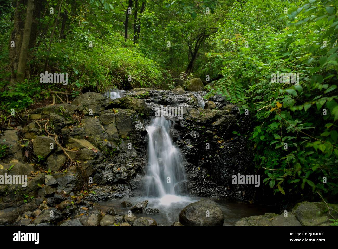 Piccolo torrente d'acqua proveniente dalla collina e che scorre sulle rocce durante la stagione delle piogge monsoniche con il verde tutto intorno. Foto Stock