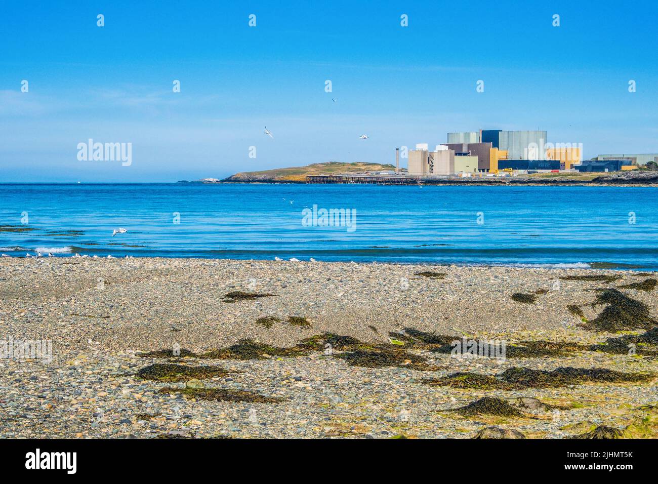Centrale nucleare di Wylfa sulla costa di Anglesey, Galles del Nord, Regno Unito Foto Stock