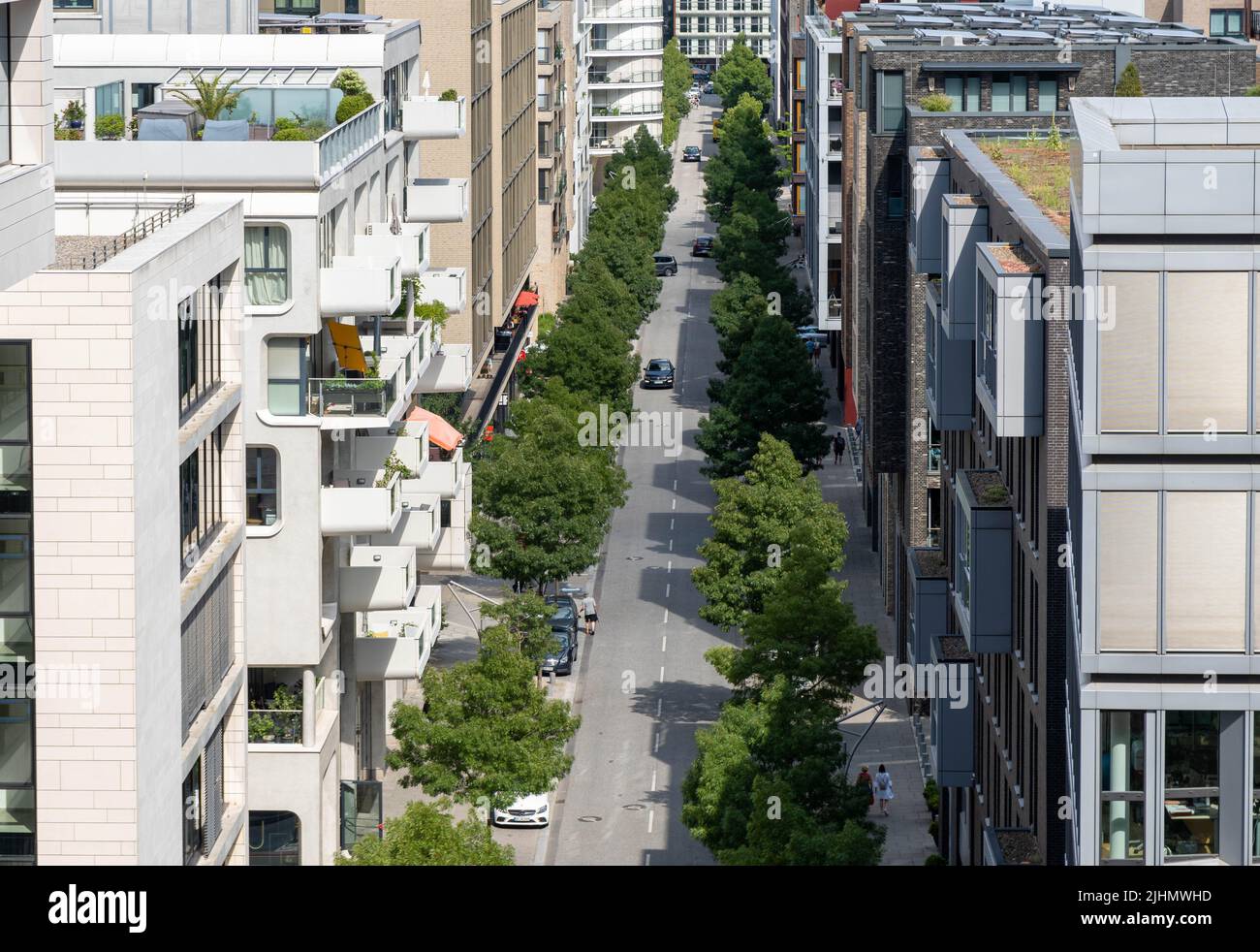 strada con alberi nella città di amburgo, zona di speicherstadt nella città portuale Foto Stock