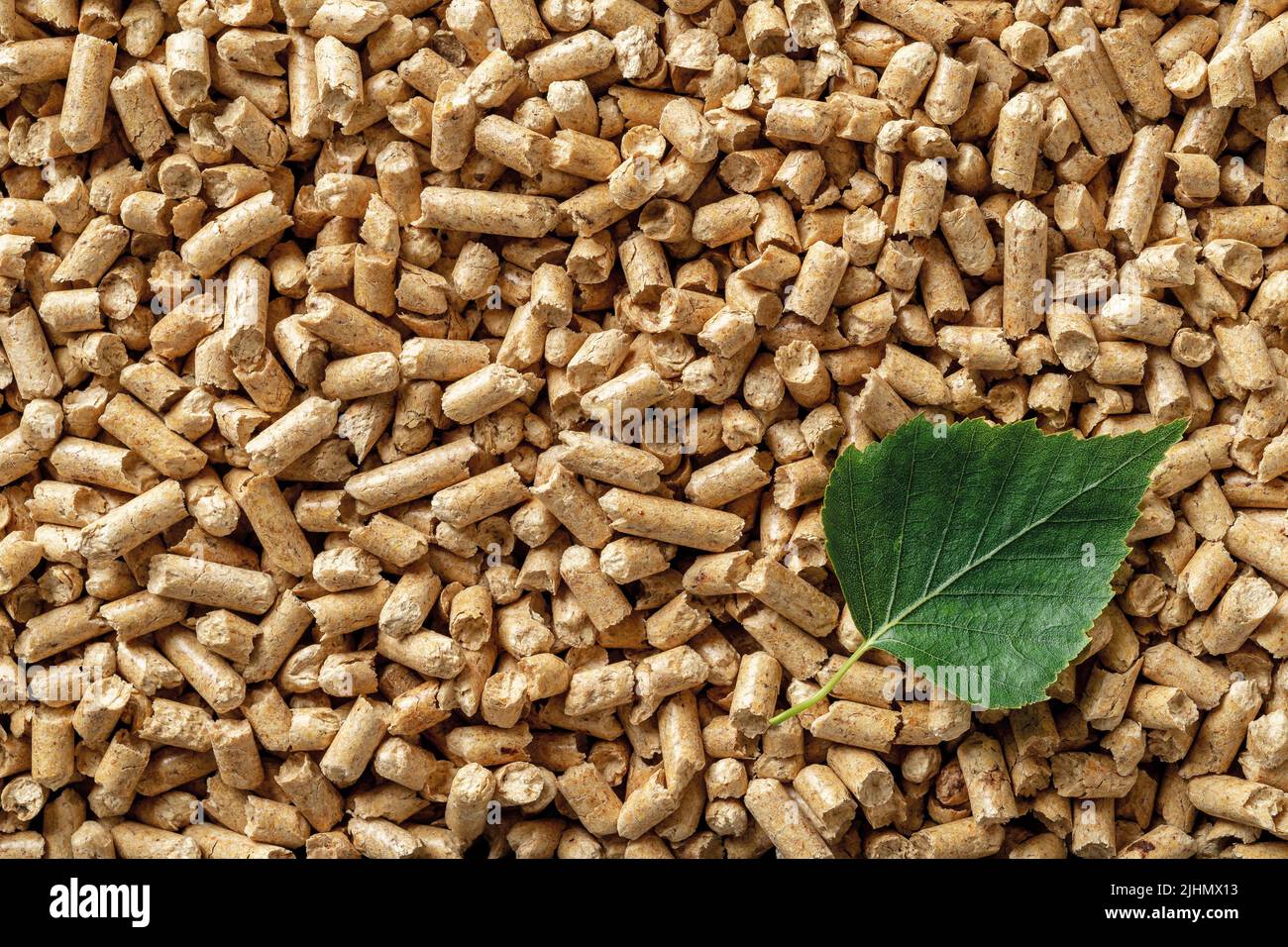 Foglia di betulla verde su legno pellet sfondo. Fonte alternativa per riscaldamento ecologico domestico. Biocarburante organico di segatura compressa. Energia rinnovabile Foto Stock