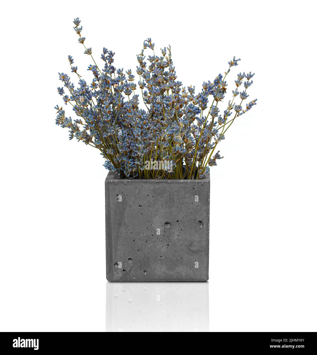 Fiori secchi di lavanda in un vaso moderno. Un elemento di decor interno. Isolato su sfondo bianco Foto Stock