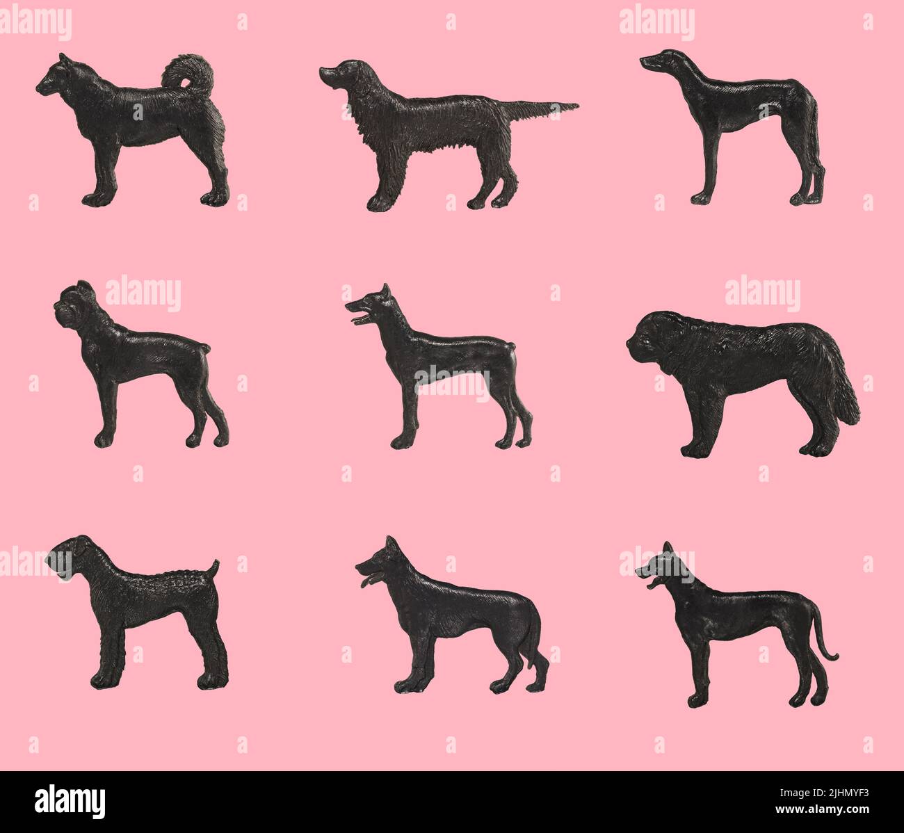 Silhouette di cani purredi su sfondo rosa, isolato Foto Stock