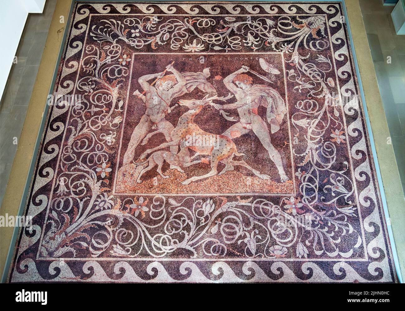 La 'caccia tag' (4th sec. a.C.), uno dei più imponenti pavimenti in mosaico del Museo Archeologico di Pella, Macedonia, Grecia. Foto Stock
