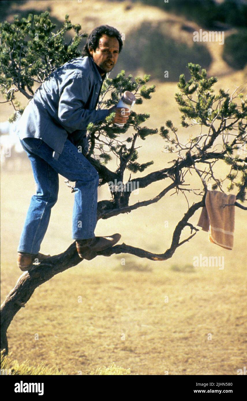 BILLY Crystal City Slickers, 1991 Foto Stock