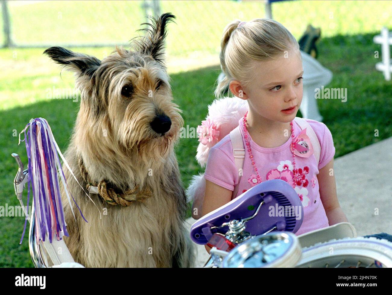 ELLE FANNING, A CAUSA DI WINN-DIXIE, 2005 Foto Stock