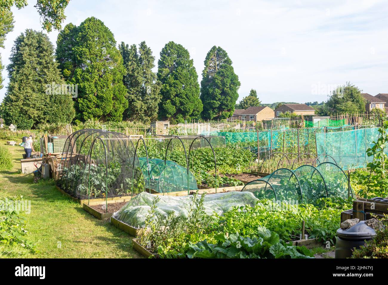 Giardino comunale di allotment, Church Road, Brackley, Northamptonshire, Inghilterra, Regno Unito Foto Stock