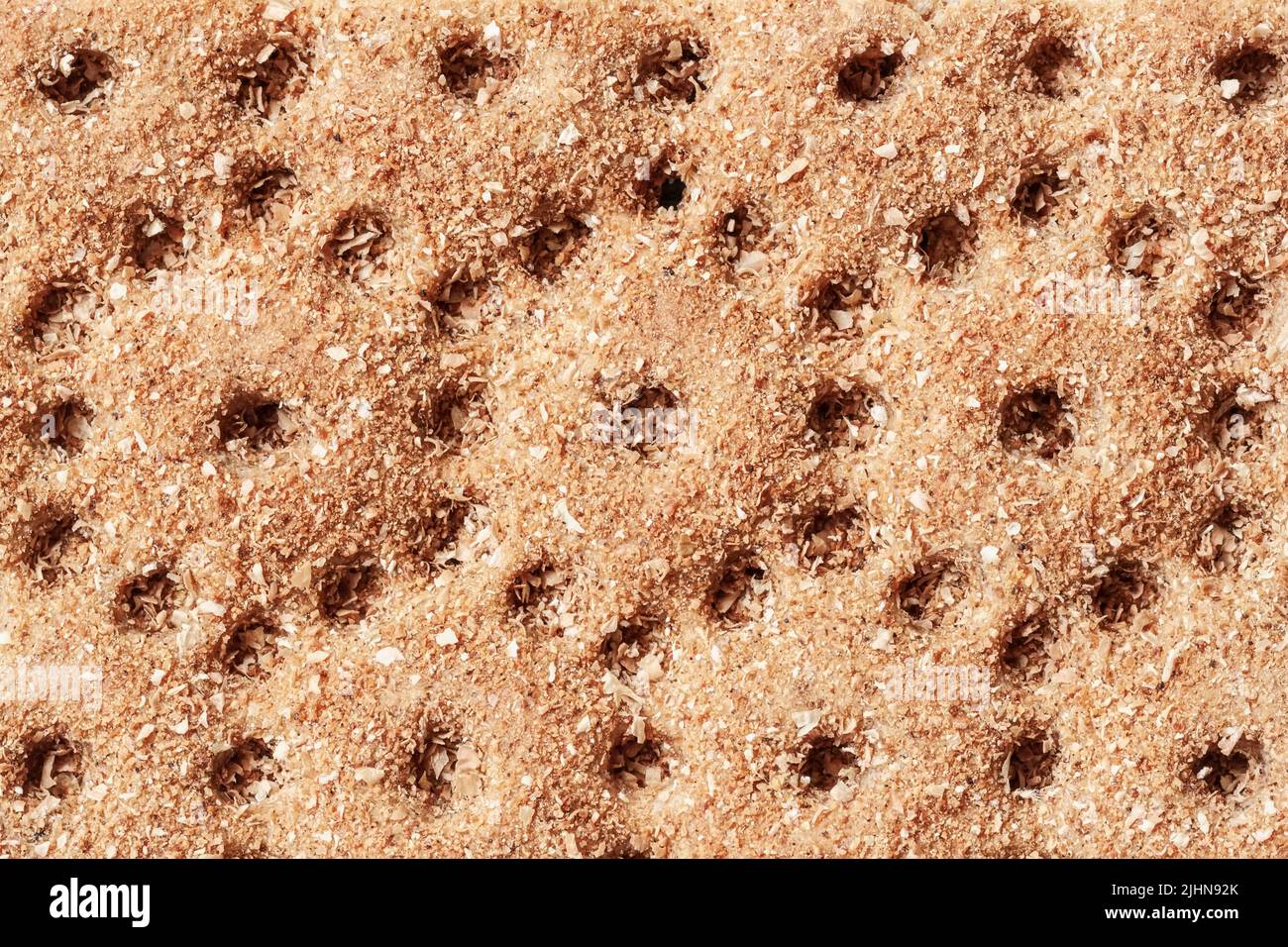 Trama di croccante di segale con semi di lino schiacciato, sesamo e girasole. Cracker dietetico Foto Stock