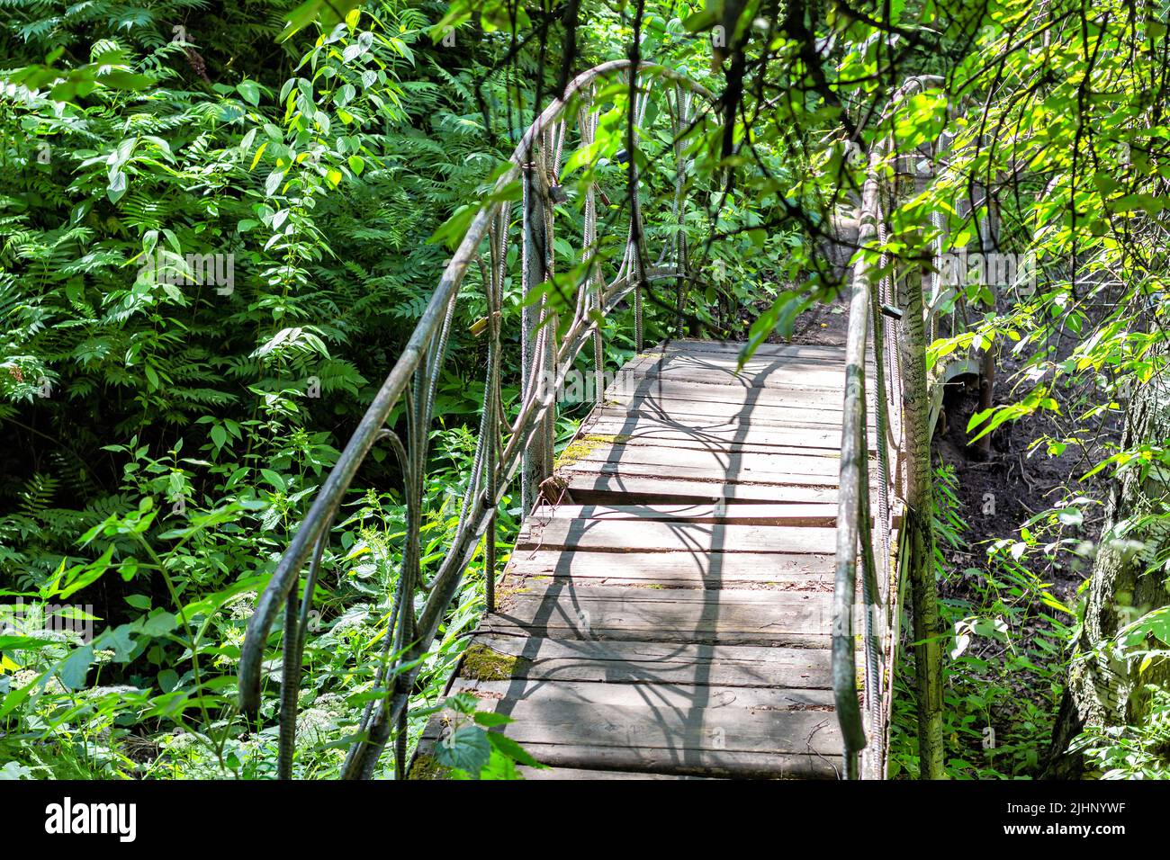 Una foresta abbandonata in crescita, un fiume prosciugato, ponte di legno antico e tavole marciume parlano di desolation.bridge con supporti in metallo openwork. Foto Stock
