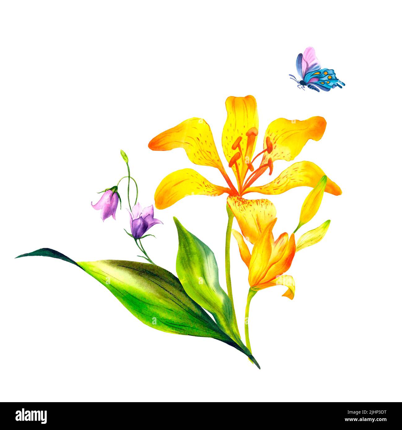 Gigli sono arancioni, illustrazione acquerello con gigli arancioni su uno sfondo isolato, mazzo di gigli arancioni e bluebelle, illustrazione botanica Foto Stock