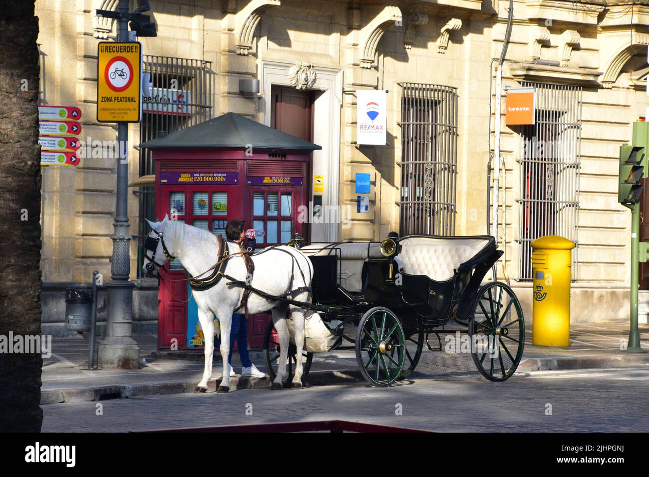 Jerez de la Frontera, Andalusia, Spagna Foto Stock