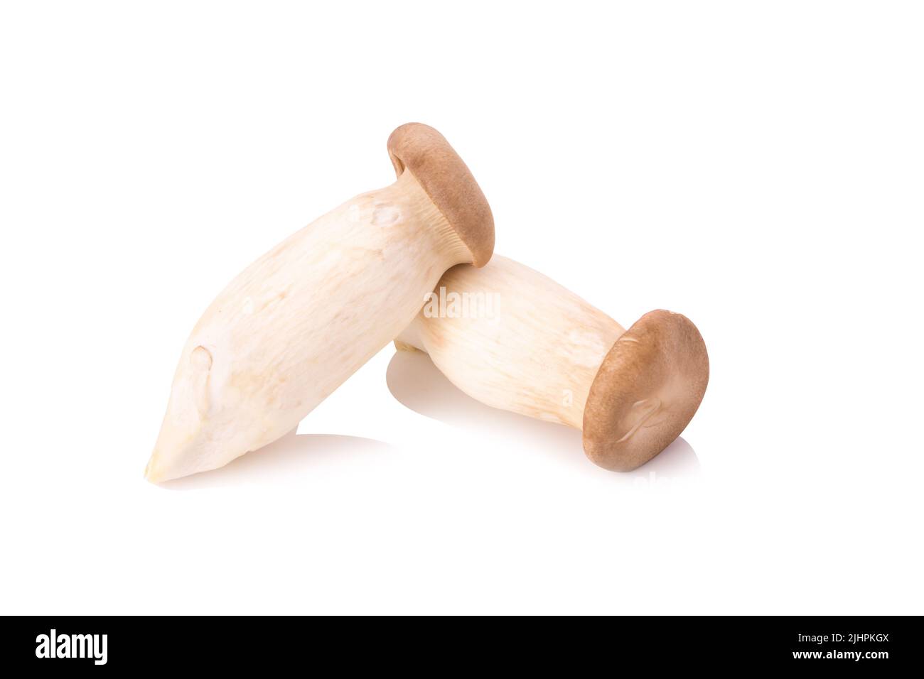 Re di funghi orecchioni (Eringi) su bianco backgroud. Foto Stock