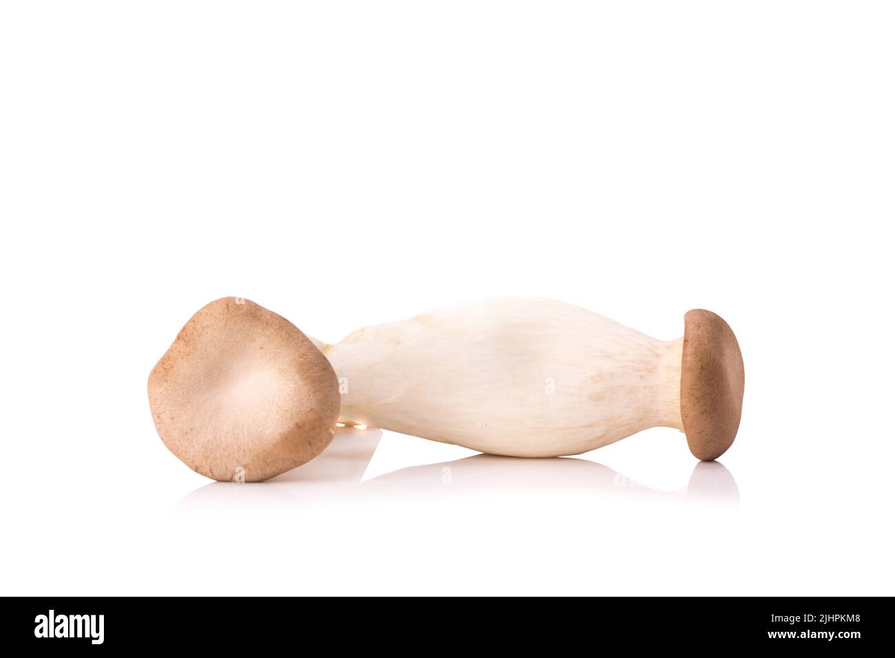 Re di funghi orecchioni (Eringi) su bianco backgroud. Foto Stock