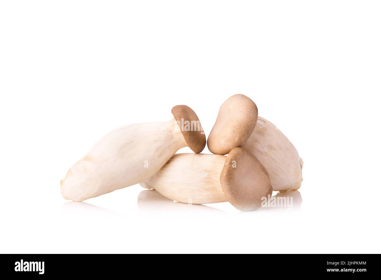 Re di funghi orecchioni (Eringi) su bianco backgroud. Foto Stock