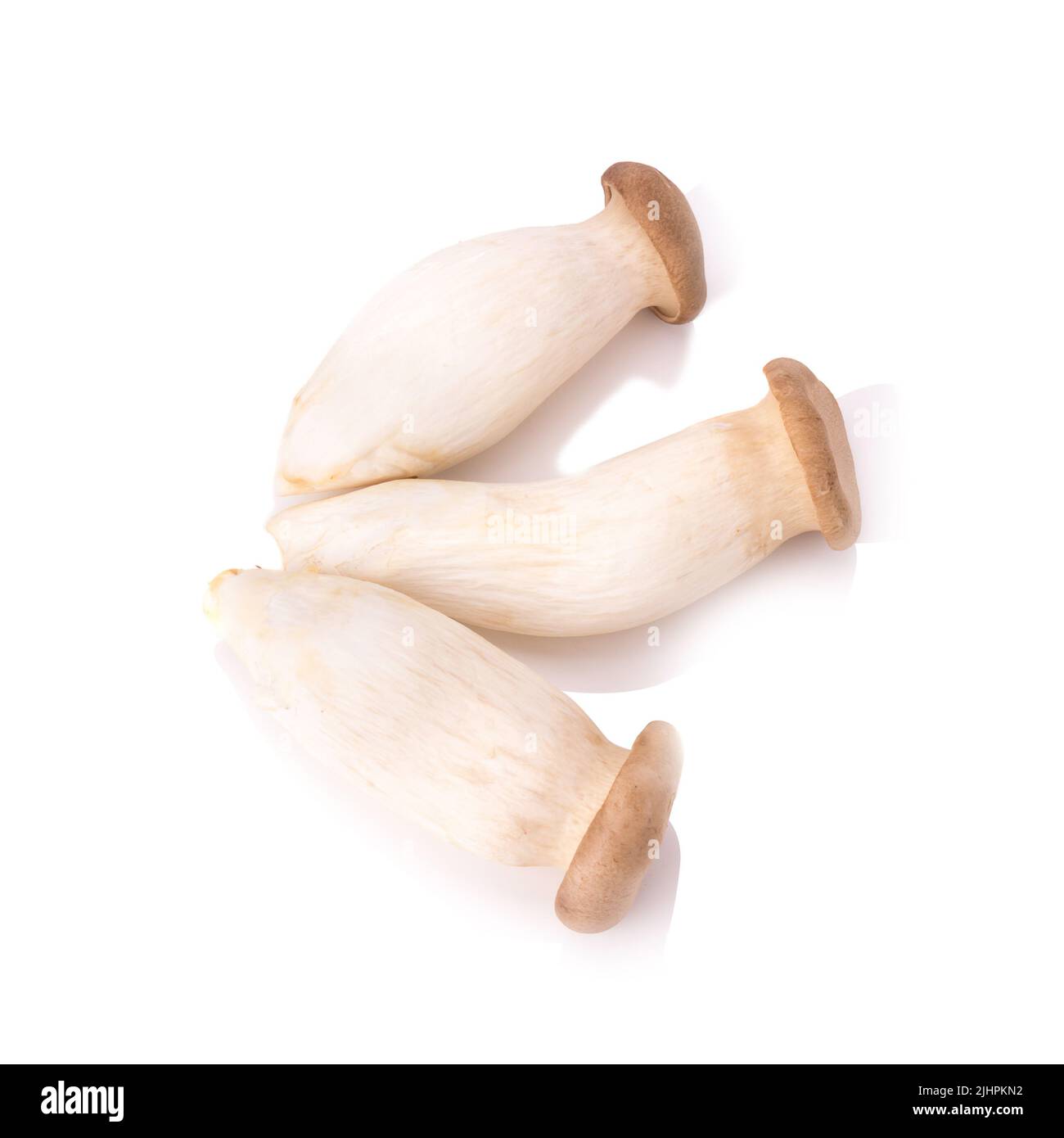 Re di funghi orecchioni (Eringi) su bianco backgroud. Foto Stock