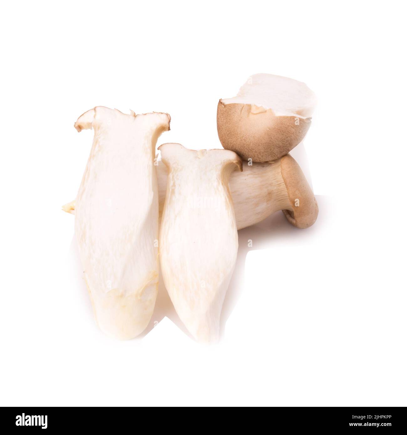 Re di funghi orecchioni (Eringi) su bianco backgroud. Foto Stock
