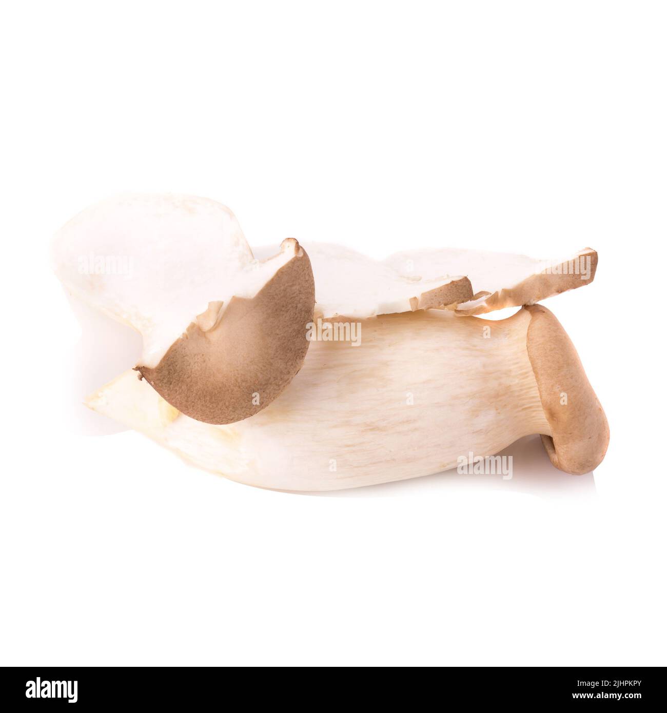 Re di funghi orecchioni (Eringi) su bianco backgroud. Foto Stock