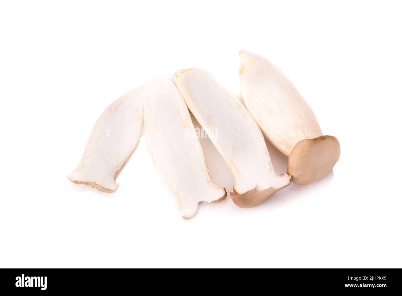 Re di funghi orecchioni (Eringi) su bianco backgroud. Foto Stock