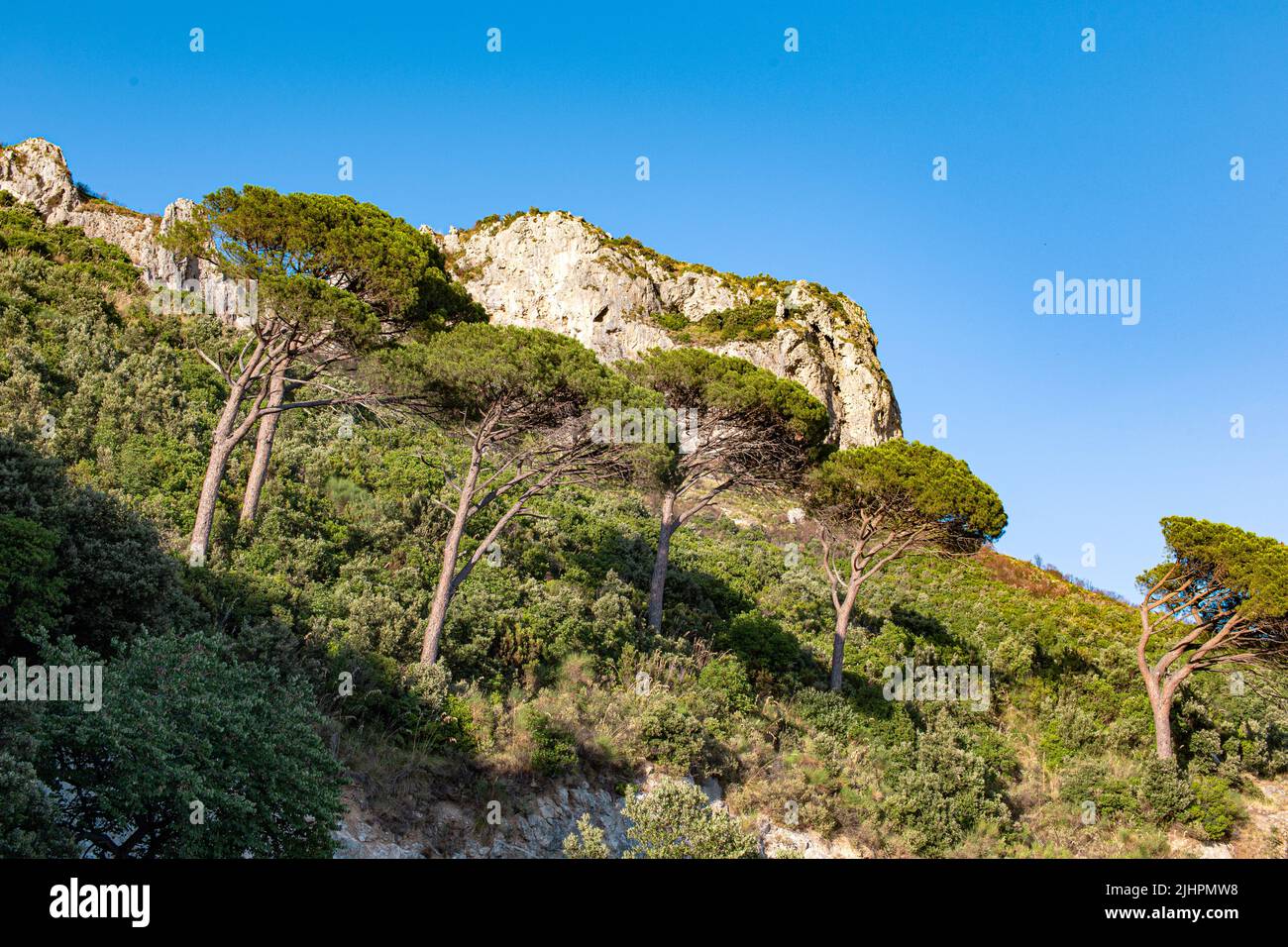 Paesaggio mediterraneo con scogliere, alberi e cielo blu Foto Stock