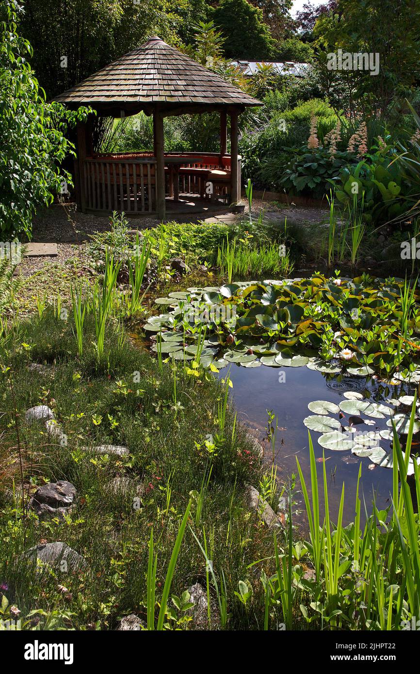 Giardino all'inglese con laghetto ornamentale con caratteristica Summerhouse e percorso in ghiaia con traversine in legno, Inghilterra Foto Stock
