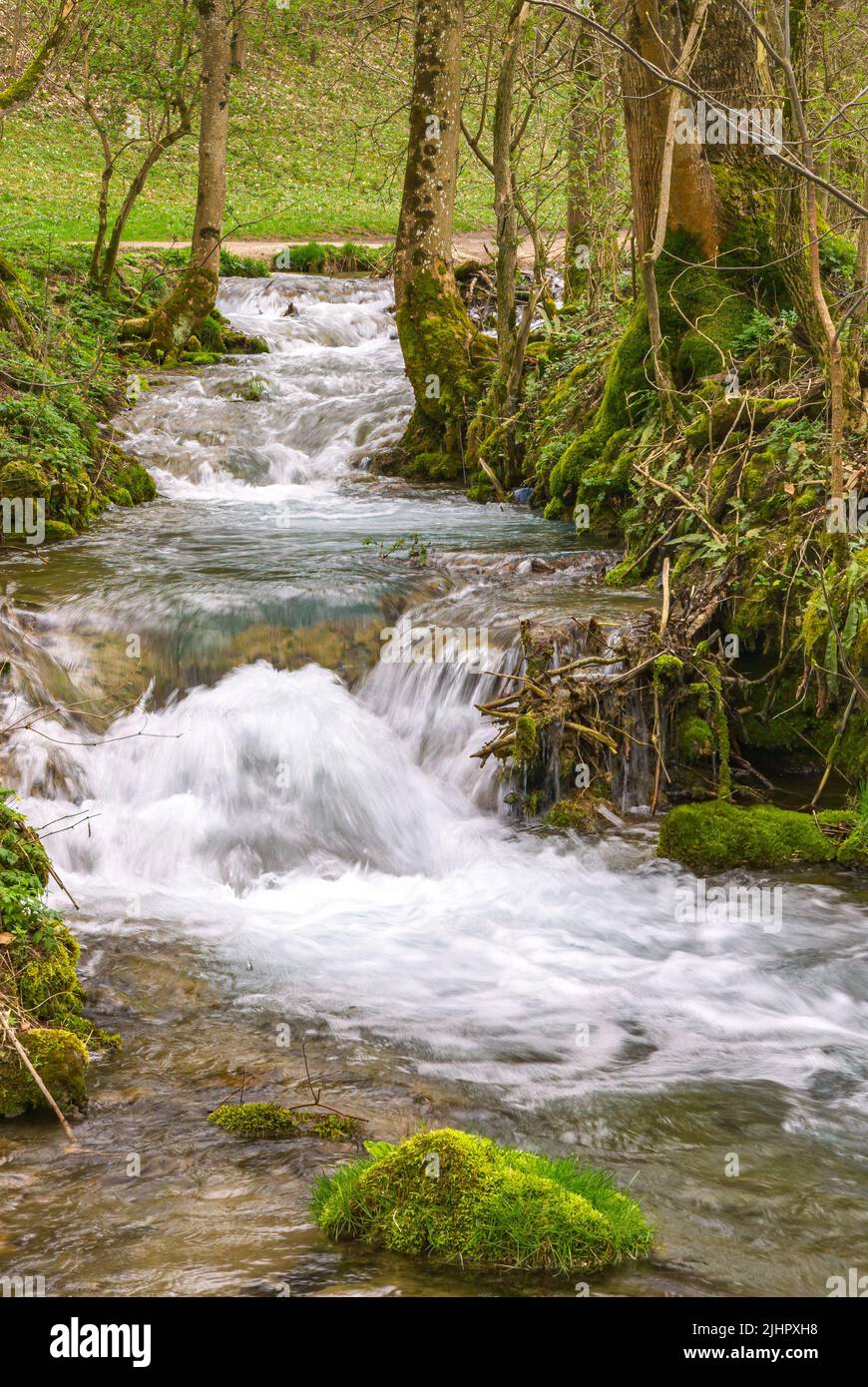 Piccolo torrente di montagna in primavera, portando l'acqua di fusione dalle montagne fino alla valle. Foto Stock