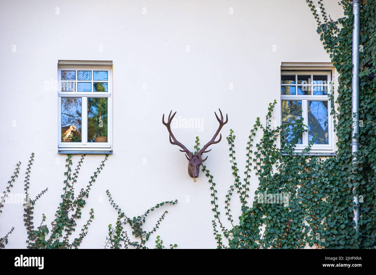 Cervi sulla facciata della casa del forestiere a Dresda-Klotzsche, Sassonia, Germania. Foto Stock