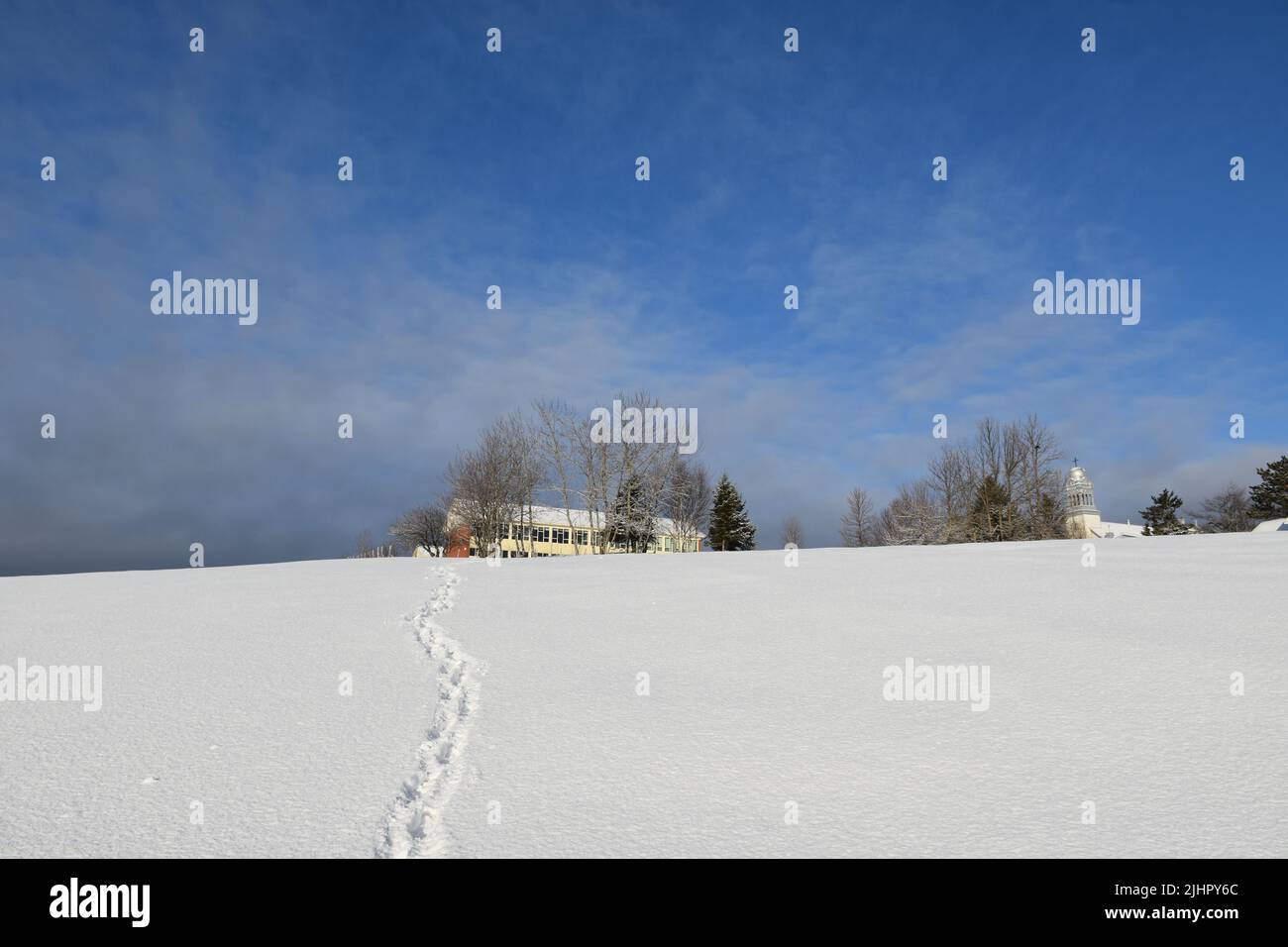 Una neve in primavera mattina, Sainte-Apolline, Quebec, Canada Foto Stock