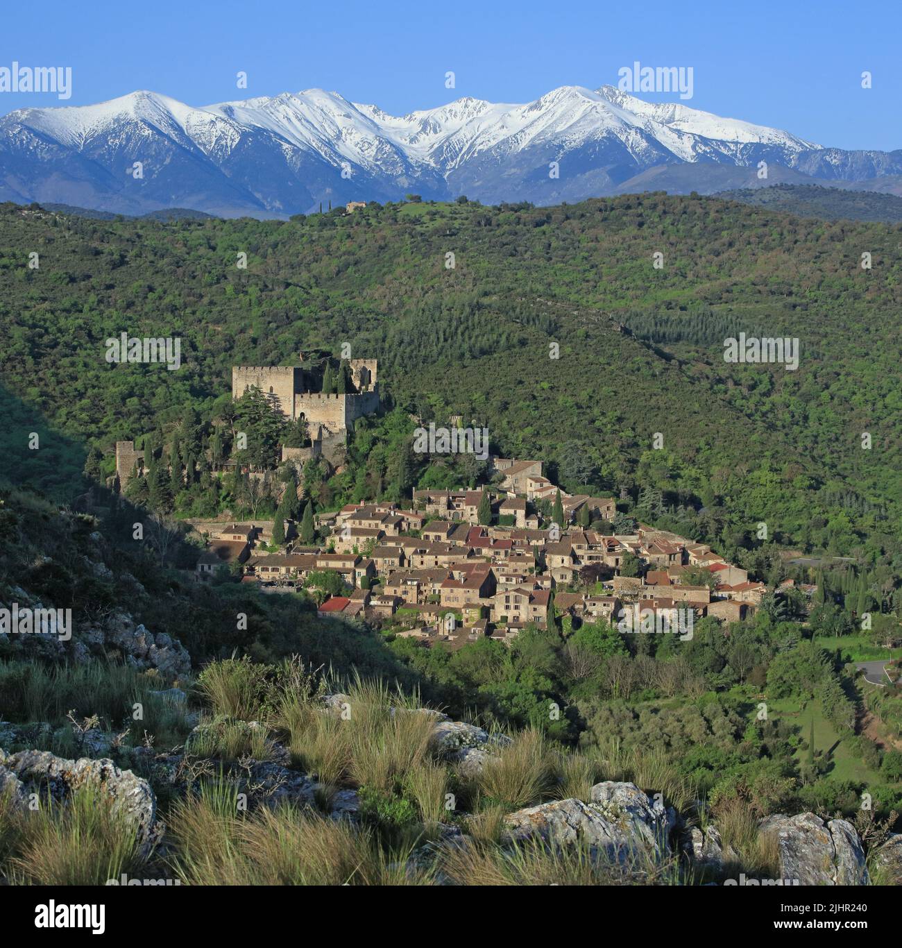 Francia, Pyrénées-Orientales (66) Castelnou, classé parmi les Plus beaux Villages de France, au loin le Canigou / Francia, Pyrénées-Orientales Castelnou, classificato tra i più bei villaggi di Francia, in lontananza il Canigou Foto Stock