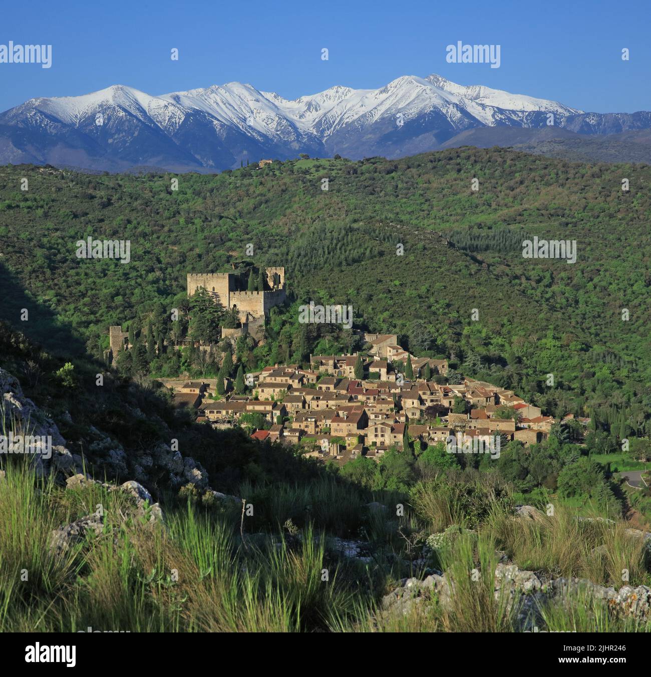 Francia, Pyrénées-Orientales (66) Castelnou, classé parmi les Plus beaux Villages de France, au loin le Canigou / Francia, Pyrénées-Orientales Castelnou, classificato tra i più bei villaggi di Francia, in lontananza il Canigou Foto Stock