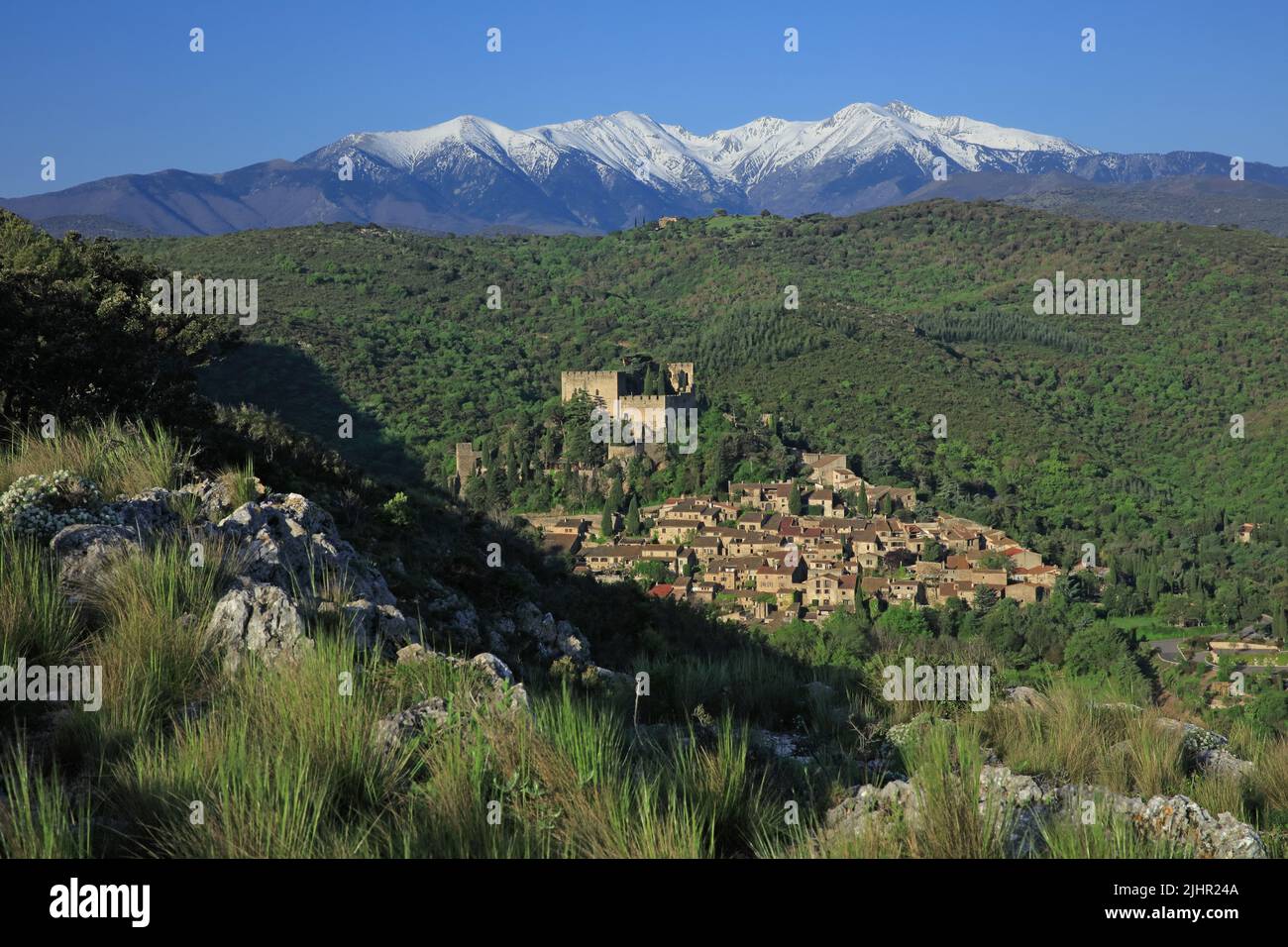 Francia, Pyrénées-Orientales (66) Castelnou, classé parmi les Plus beaux Villages de France, au loin le Canigou / Francia, Pyrénées-Orientales Castelnou, classificato tra i più bei villaggi di Francia, in lontananza il Canigou Foto Stock