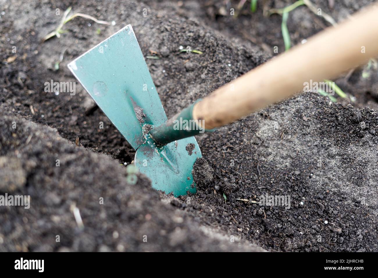 Particolare di una zappa scavando il terreno di un orto Foto Stock