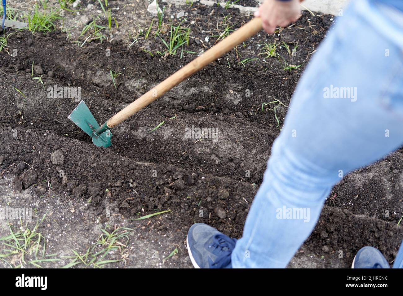Persona che usa una zappa per finchè il suolo di un giardino di verdure domestico Foto Stock