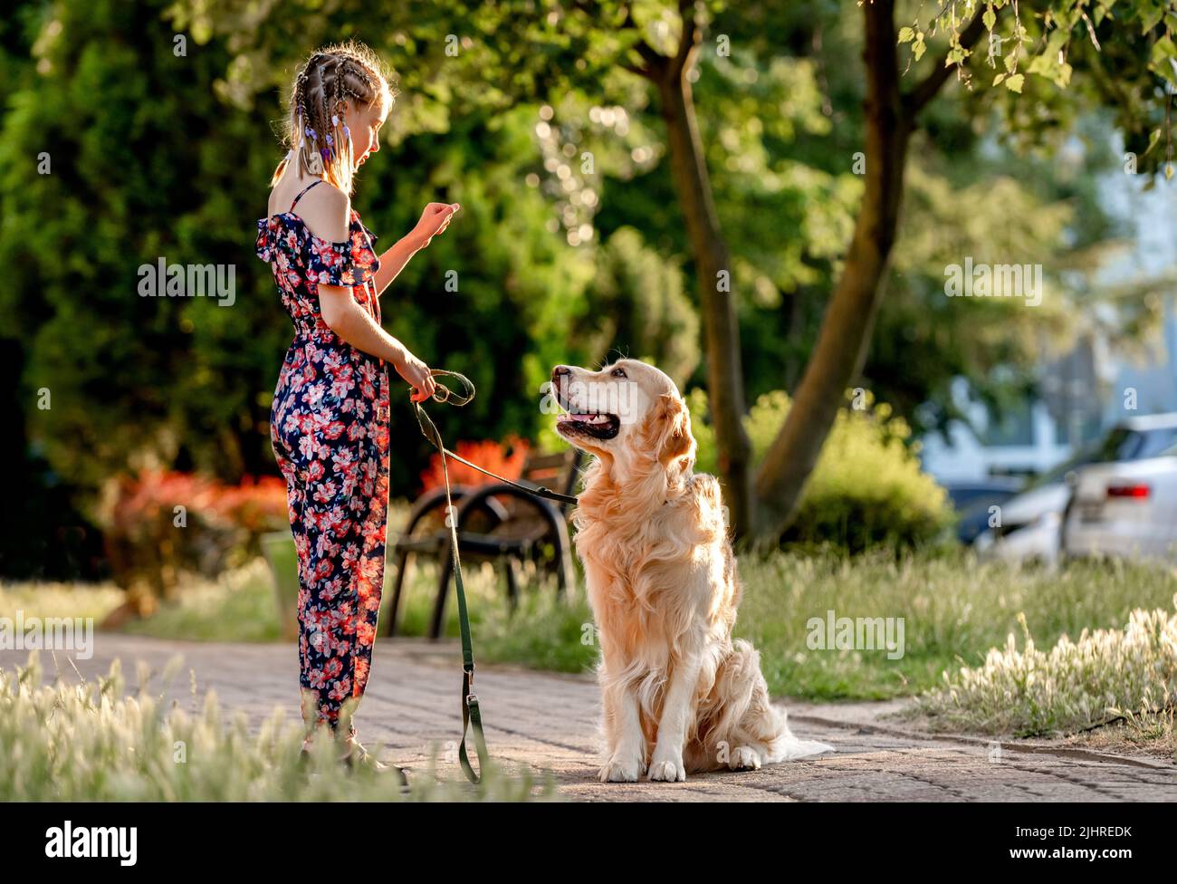 Ragazza e cane di recupero d'oro Foto Stock