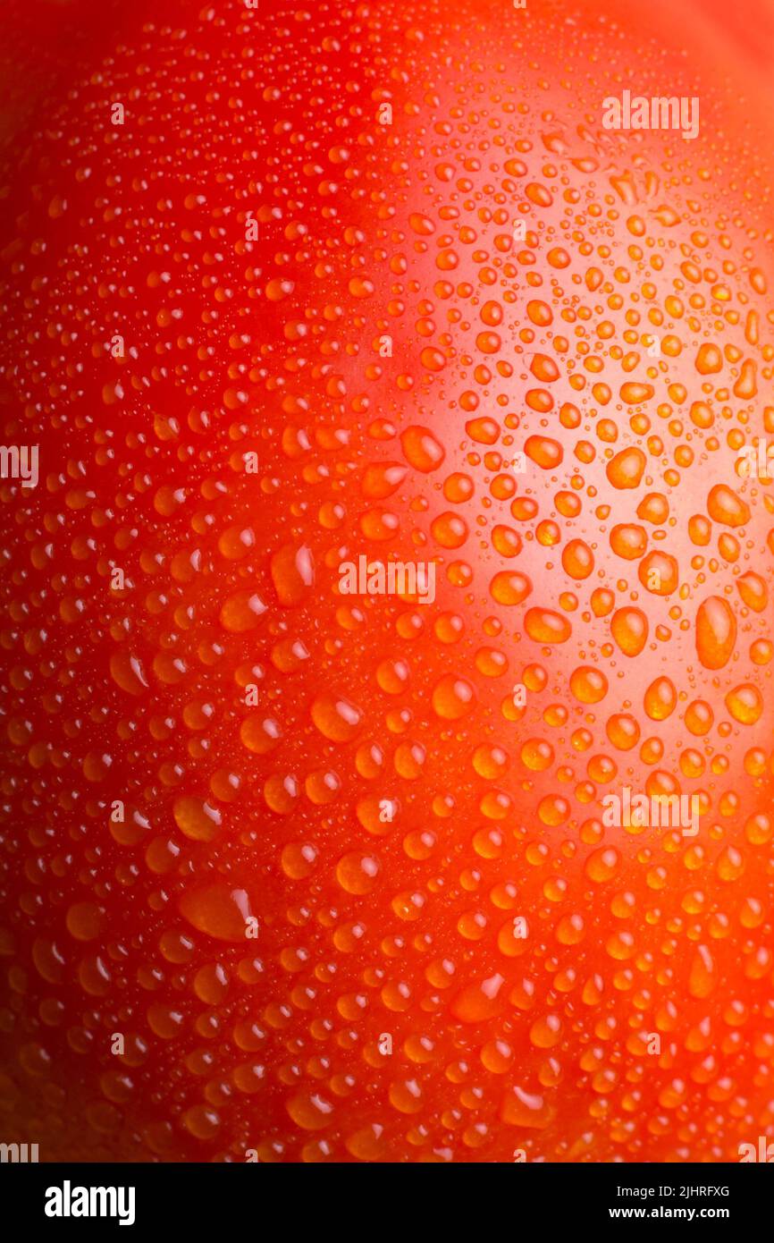 estratto di superficie di pomodoro con rugiada, superficie di bacche di colore rosso e arancione con gocce d'acqua fondo, carta da parati o sfondo, macro Foto Stock