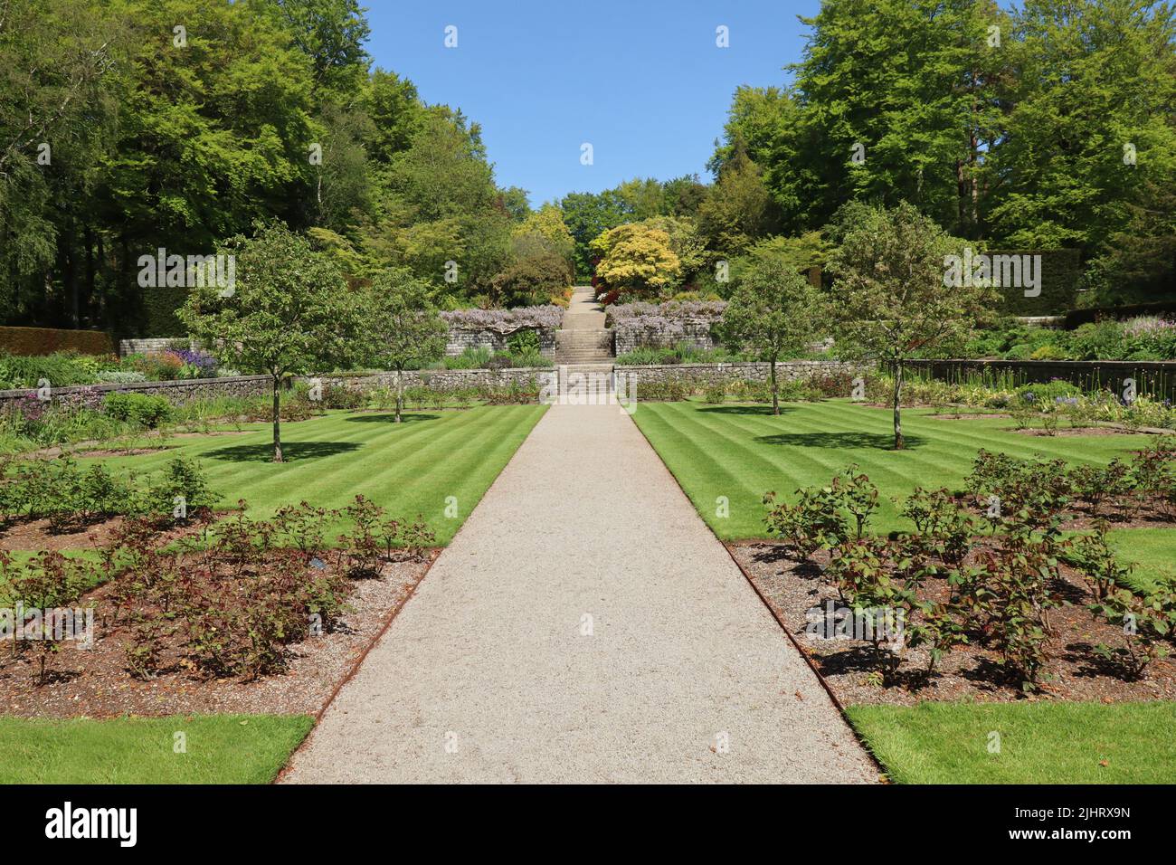 Un sentiero di ghiaia corre tra due prati verdeggianti prima di salire su diverse rampe di scalini e giardini terrazzati nei giardini formali di un contr inglese Foto Stock