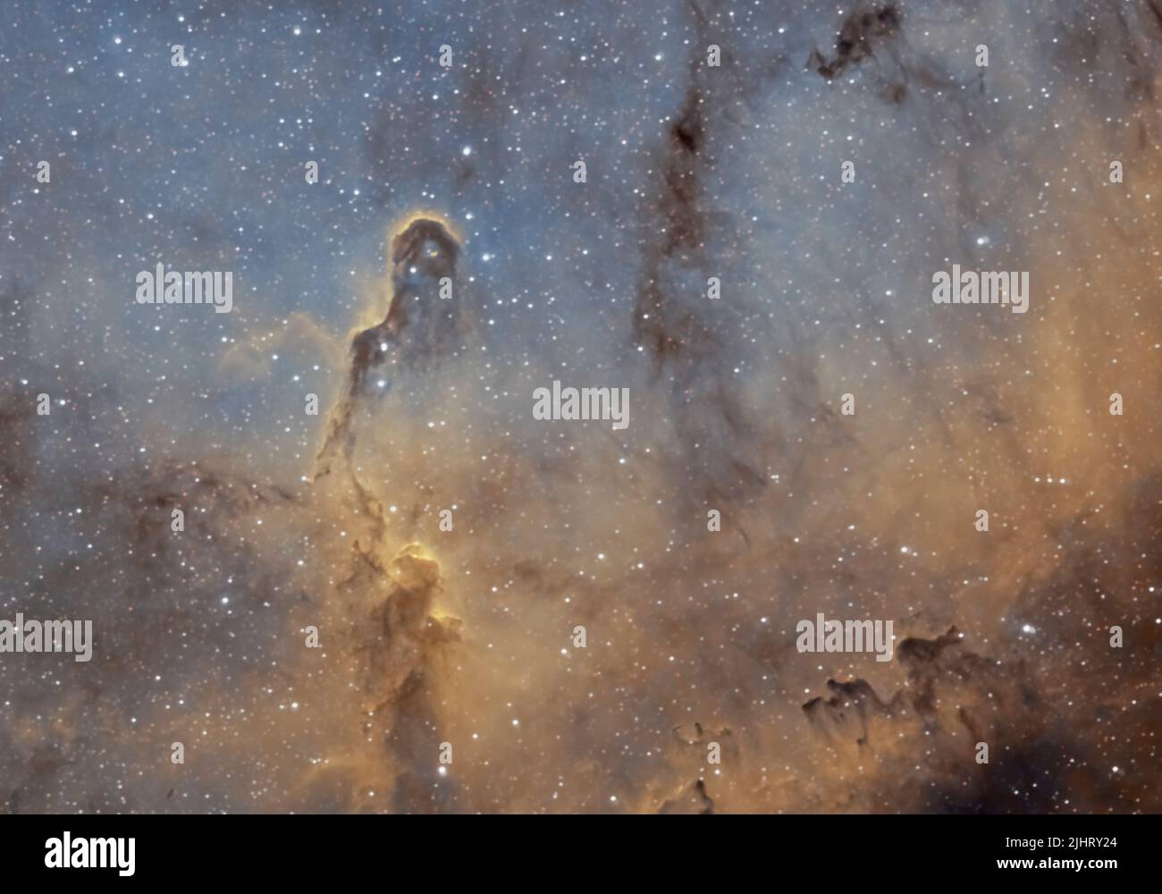 La nebulosa del tronco dell'elefante (IC 1396a), all'interno della costellazione Cefeo, fotografata dal Regno Unito Foto Stock