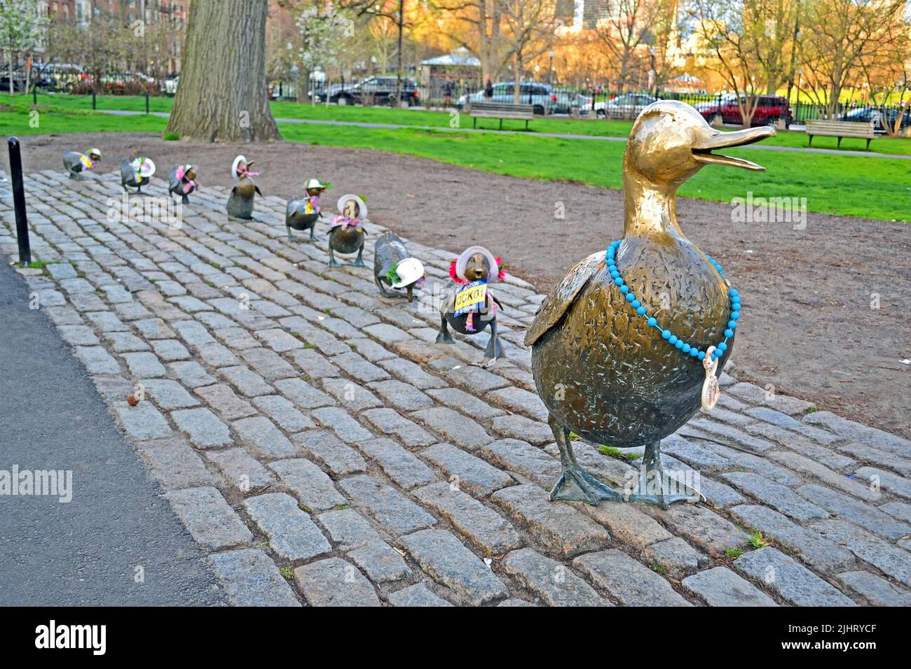 Scultura di anatre omaggio alla storia di Robert McCloskeys 'Make Way for Ducklings' è stato aperto a Boston Public Garden nel 1987. Foto Stock