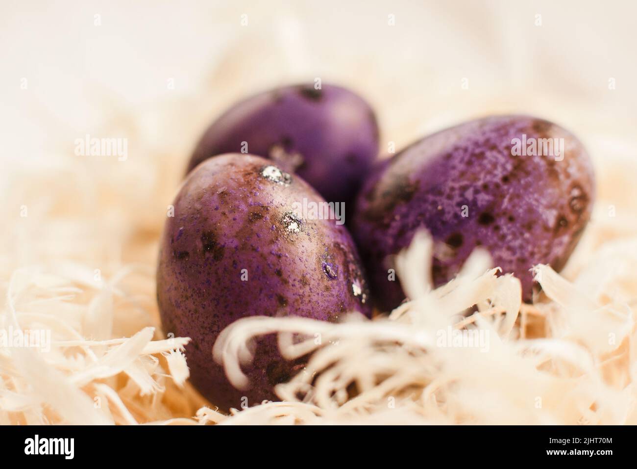 Tre uova di pasqua viola in primo piano nido bianco Foto Stock