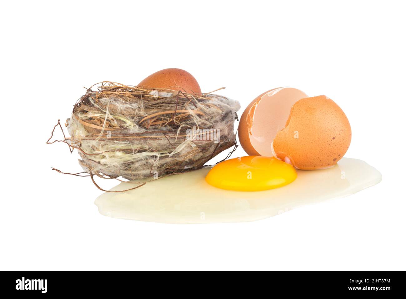 uovo all'interno del nido d'uccello. uovo rotto isolato su sfondo bianco. Foto Stock