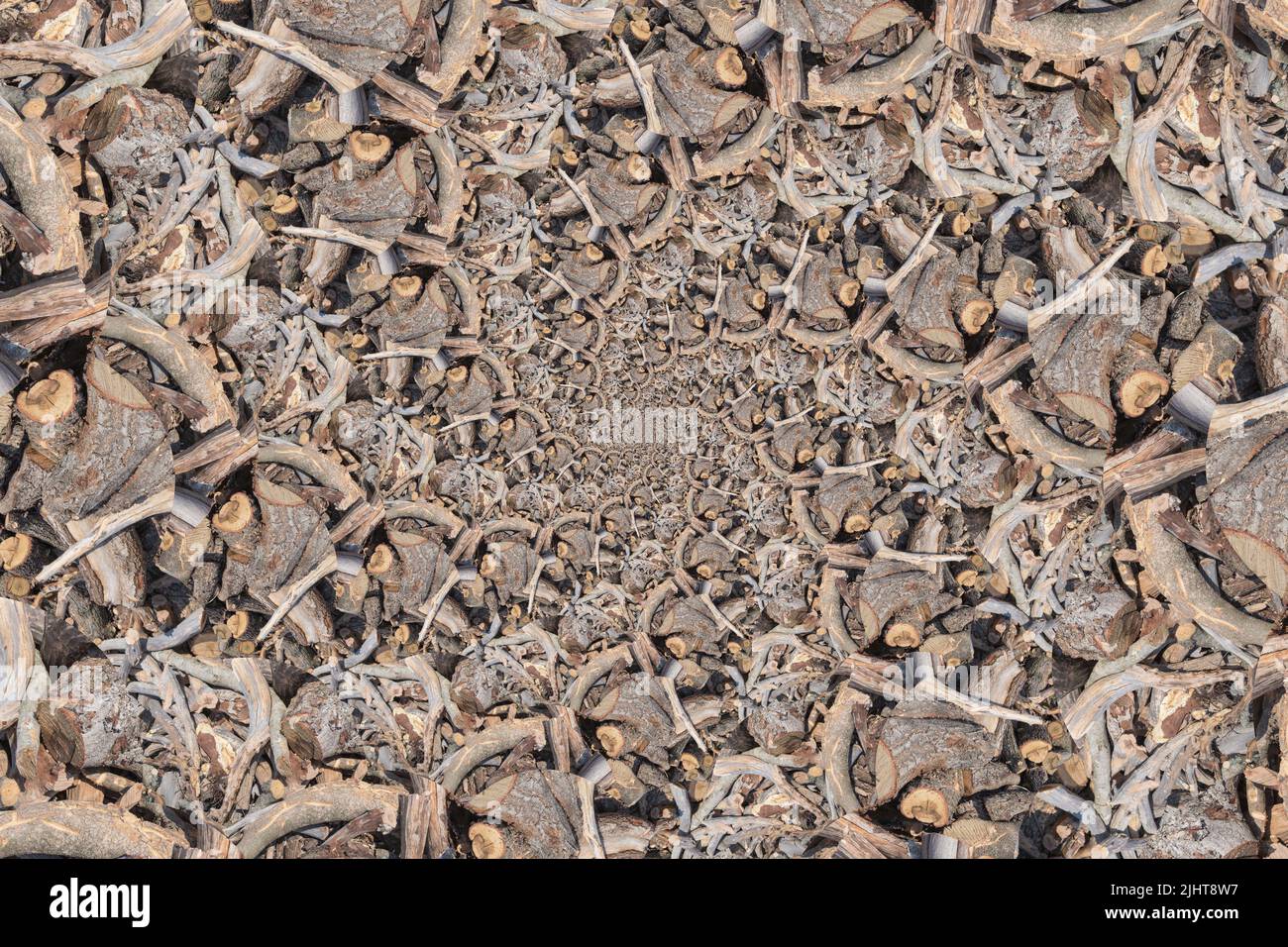 Spirale di legno tritato, spirale astratta frattale, sfondo, idromassaggio Foto Stock