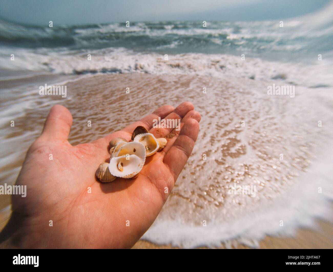 viaggi turismo estate fuga oceano mare seashell Foto Stock