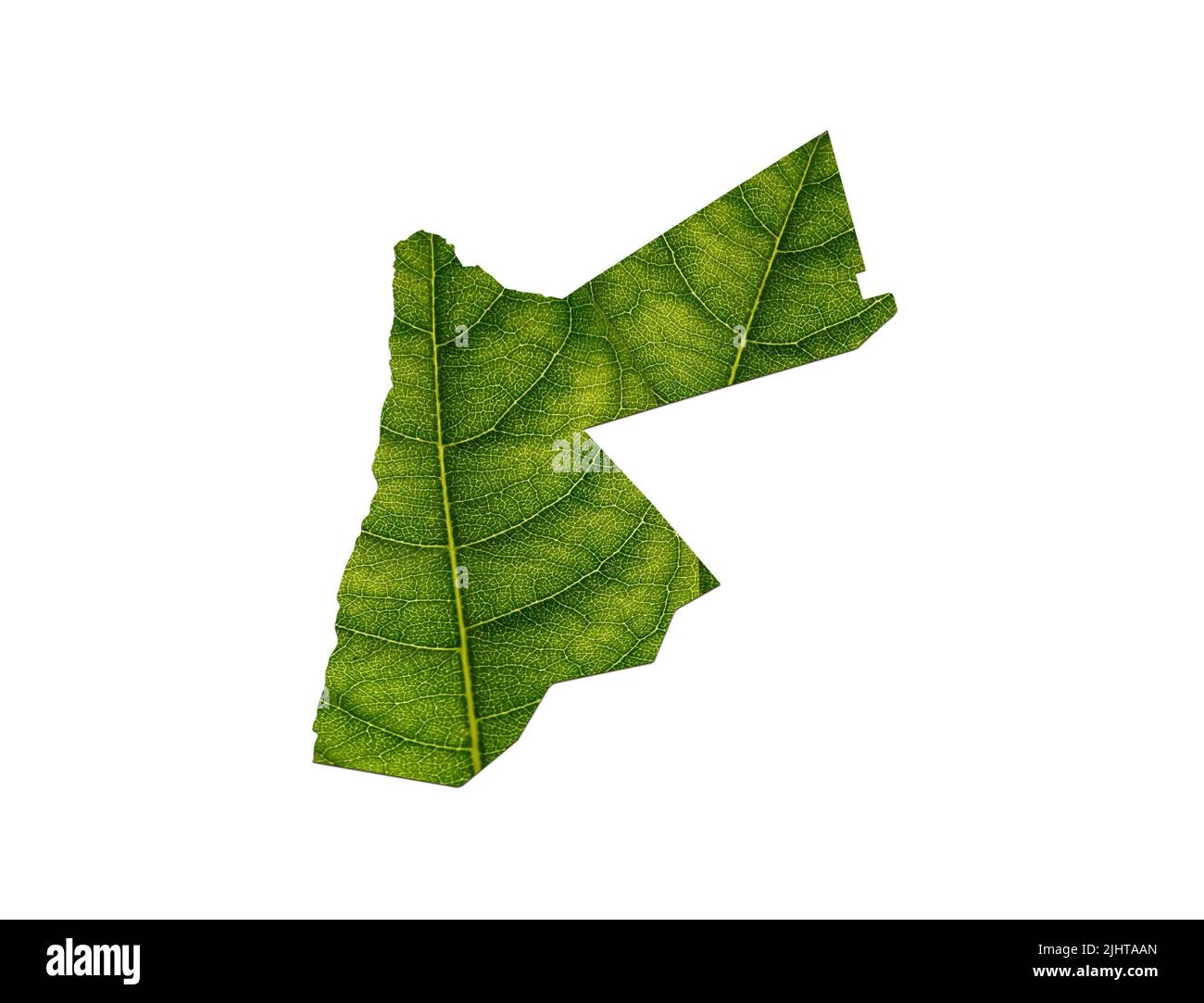 Vista dall'alto delle foglie verdi con la forma di una mappa Jordan su sfondo bianco Foto Stock