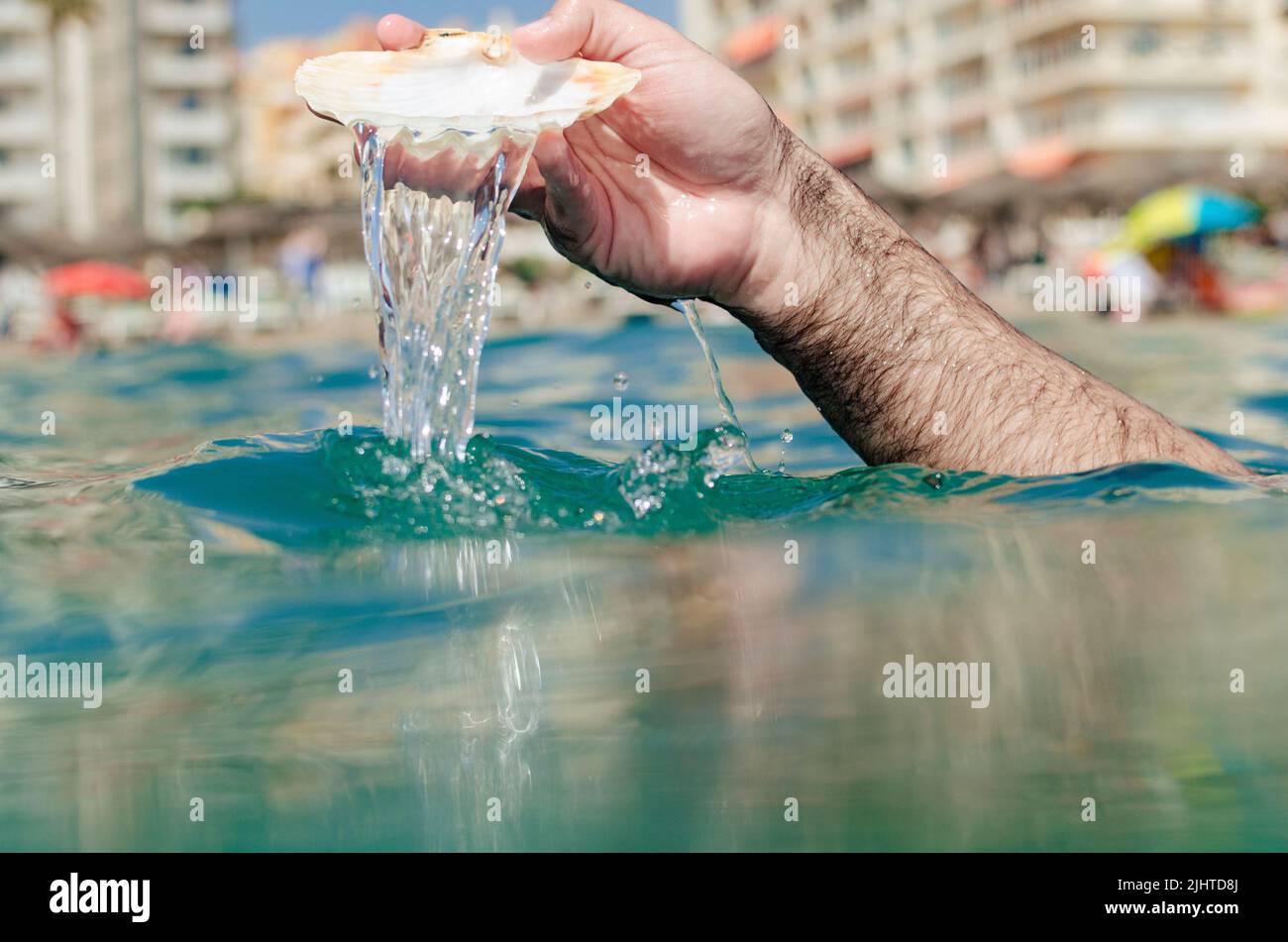 Mano che tiene il guscio di un capesante in mare. Torremolinos, Málaga, Costa de Sol, Andalusia, Spagna, Europa Foto Stock