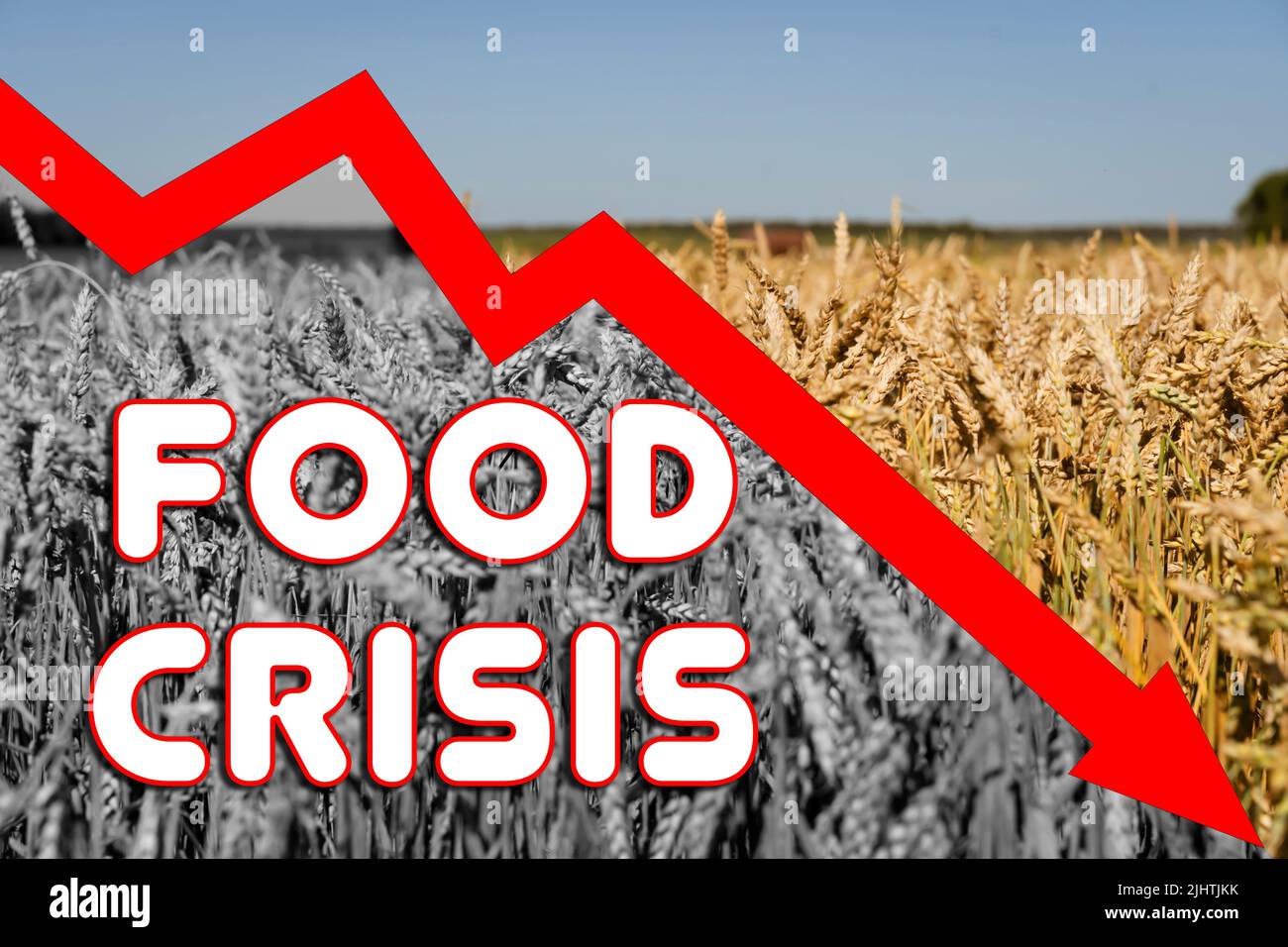 Crisi alimentare. Problemi mondiali con l'approvvigionamento di grano, un grafico di livelli in calo. Mancanza di farina e pane. Concetto di deficit mondiale. . Foto Stock