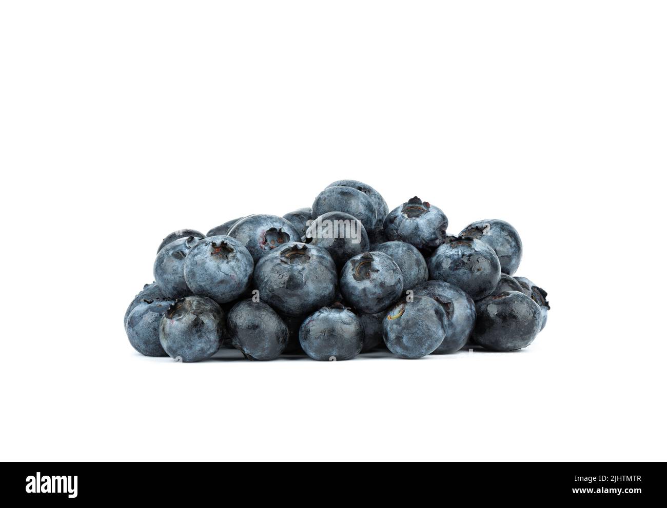 Mirtillo o mirtillo o mora o whortleberry blu o mirtillo isolato su sfondo bianco. Mirtillo comune lat. Uliginosum di Vaccinium. Copia Foto Stock